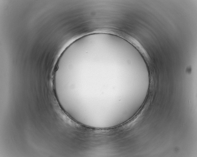X0000091530908200709141433