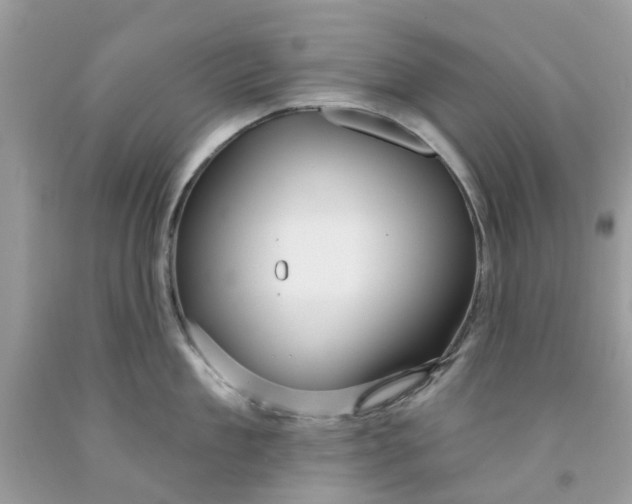 X0000091530909200709141433