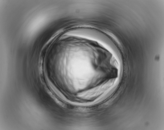 X0000091530910200709141432