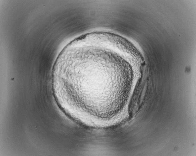 X0000091530911200709141432