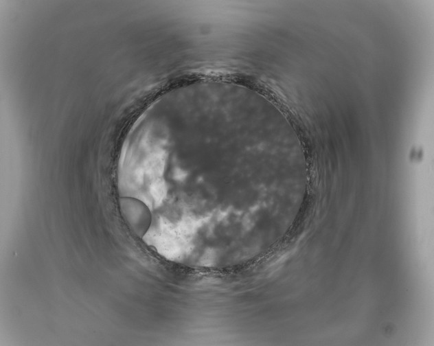 X0000091530913200709141432