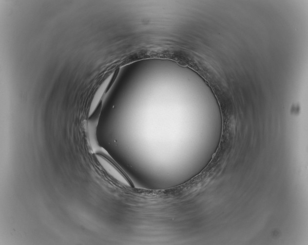 X0000091530914200709141432