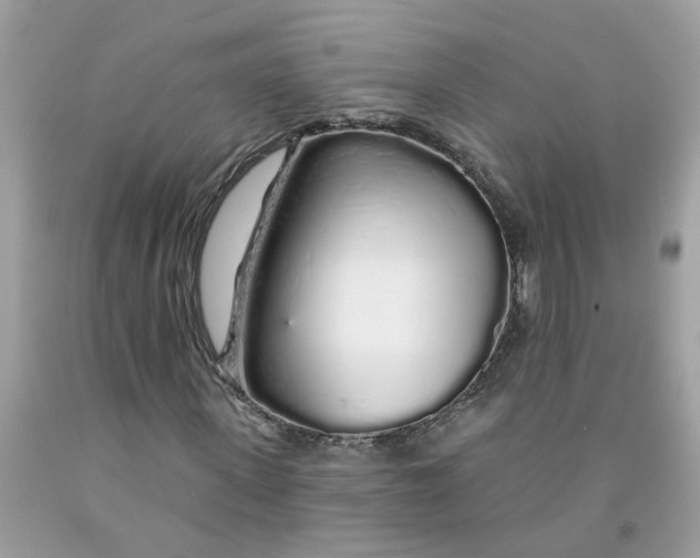 X0000091530915200709141432