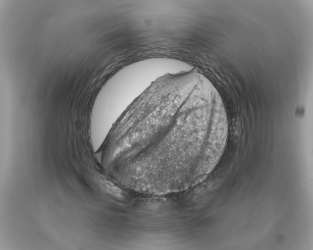 X0000091530916200709141432