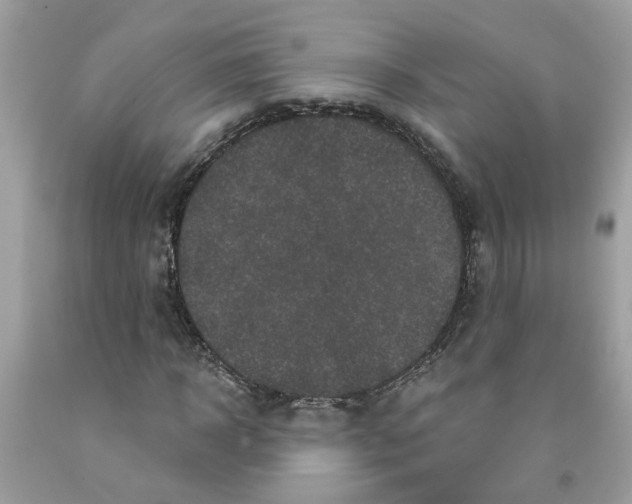 X0000091530918200709141432