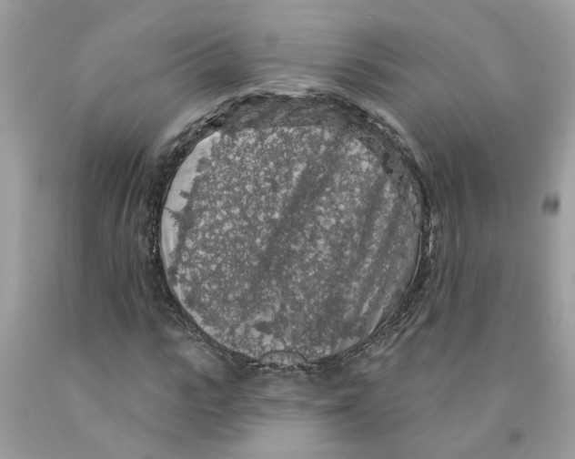 X0000091530919200709141432
