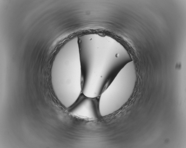 X0000091530920200709141432