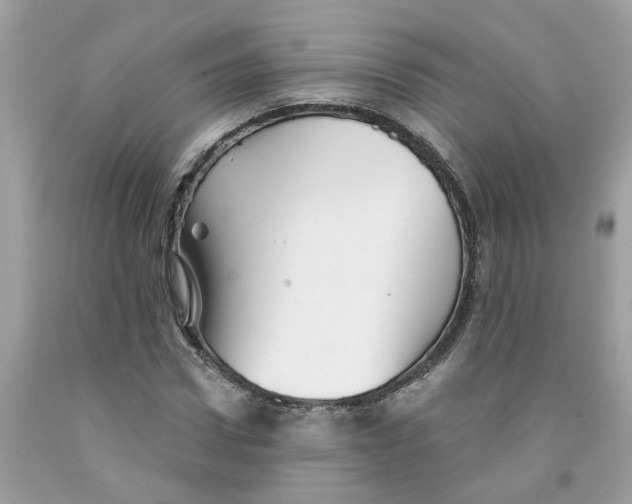 X0000091530922200709141432