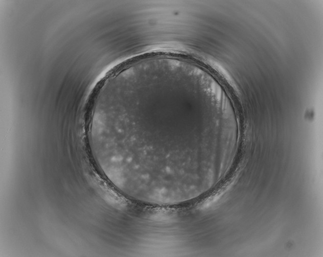 X0000091530923200709141432