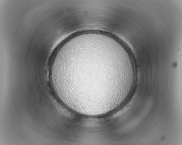 X0000091530925200709141432