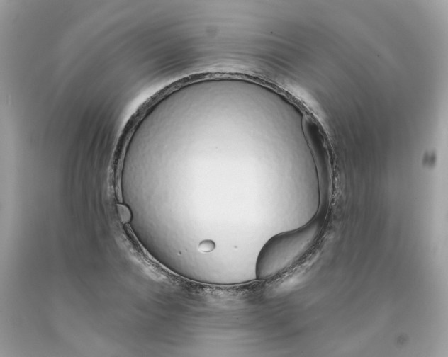 X0000091530928200709141432