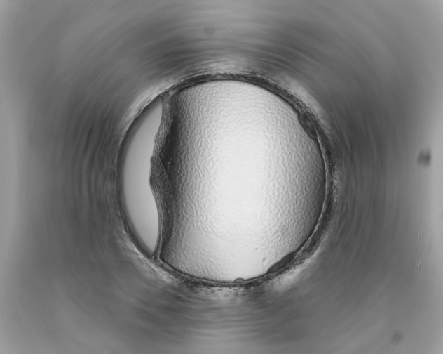 X0000091530930200709141432