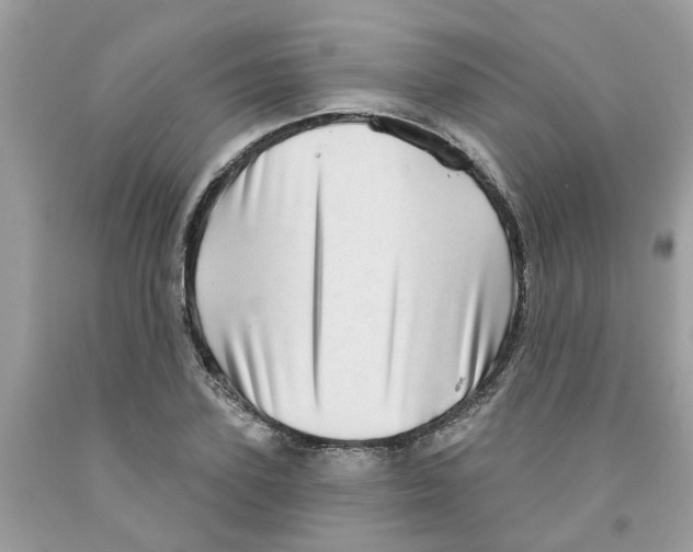 X0000091530931200709141432