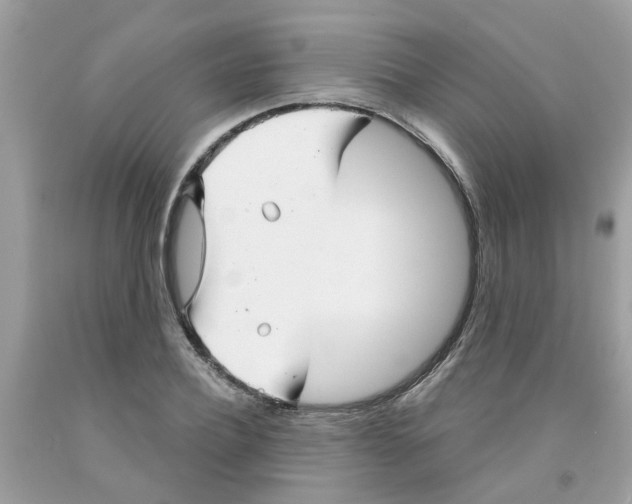 X0000091530932200709141432
