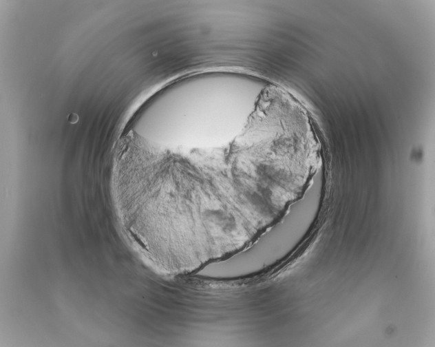 X0000091530933200709141432