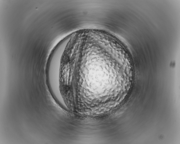 X0000091530935200709141432