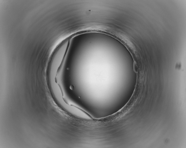 X0000091530936200709141432