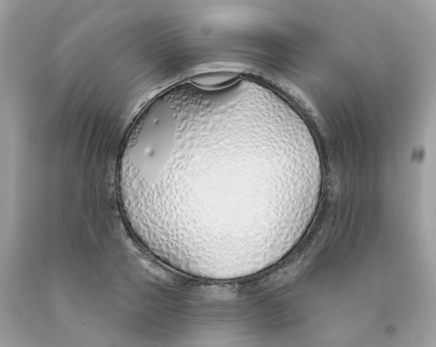 X0000091530937200709141432