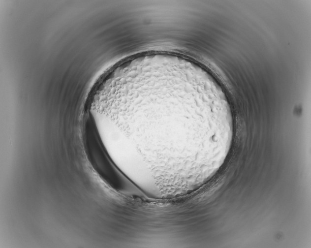 X0000091530939200709141432