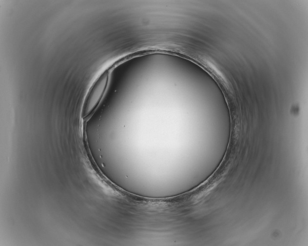 X0000091530940200709141432