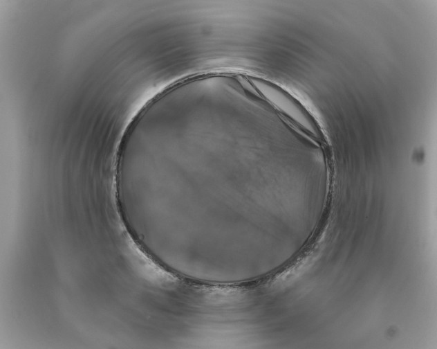 X0000091530941200709141432