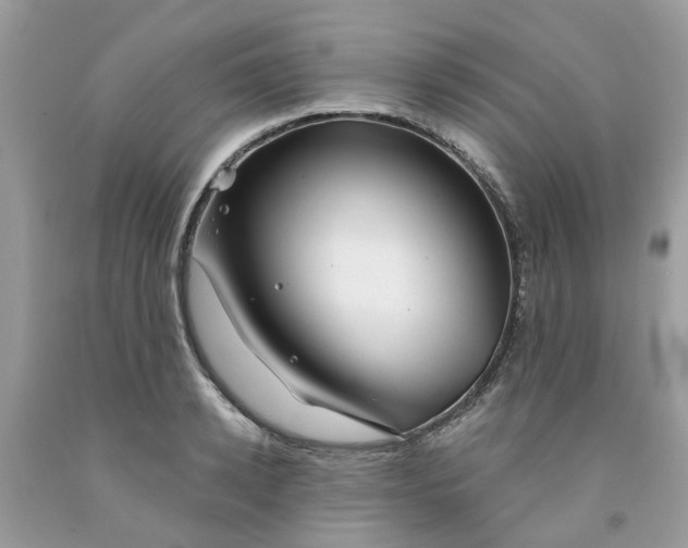 X0000091530942200709141432