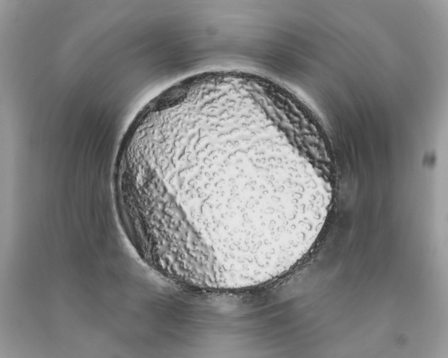 X0000091530943200709141432
