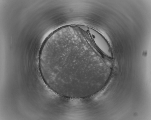 X0000091530944200709141432