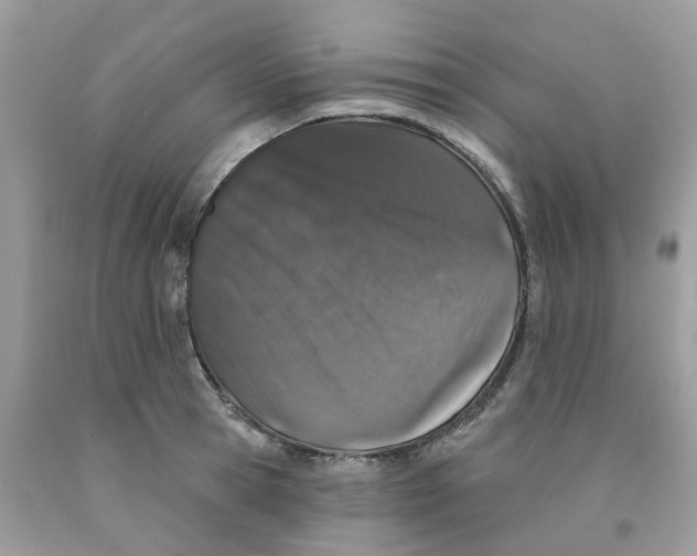 X0000091530945200709141432