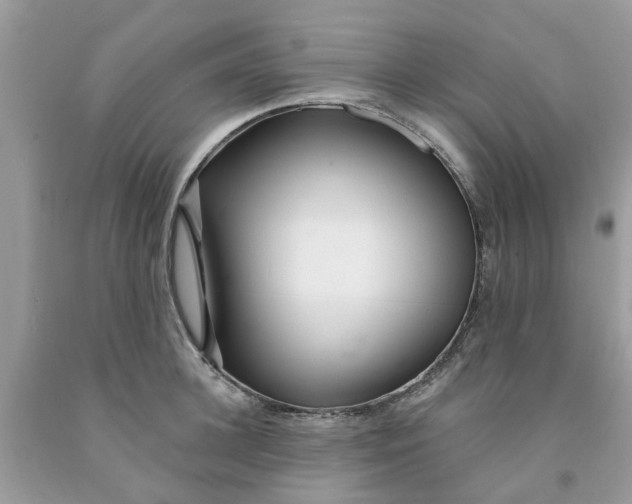 X0000091530948200709141432
