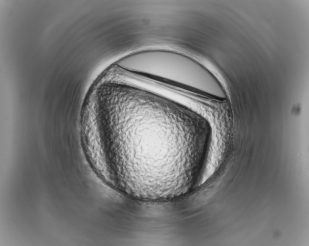 X0000091530951200709141432