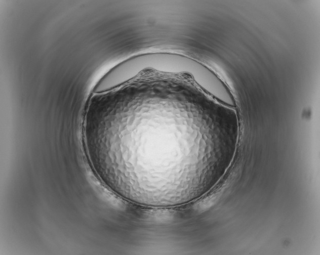 X0000091530952200709141432
