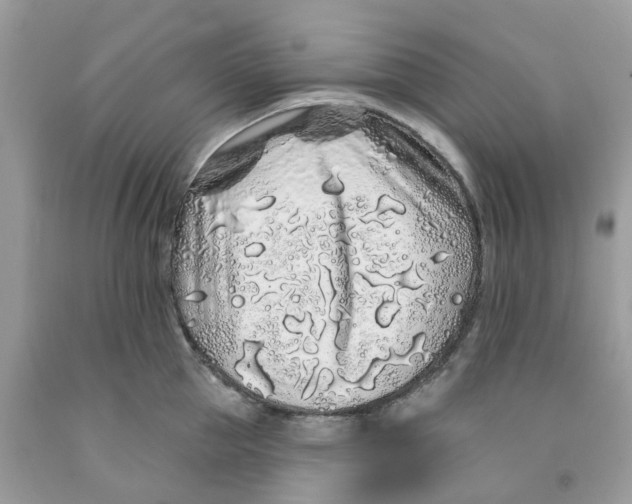 X0000091530953200709141432