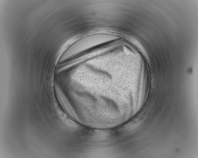 X0000091530954200709141432