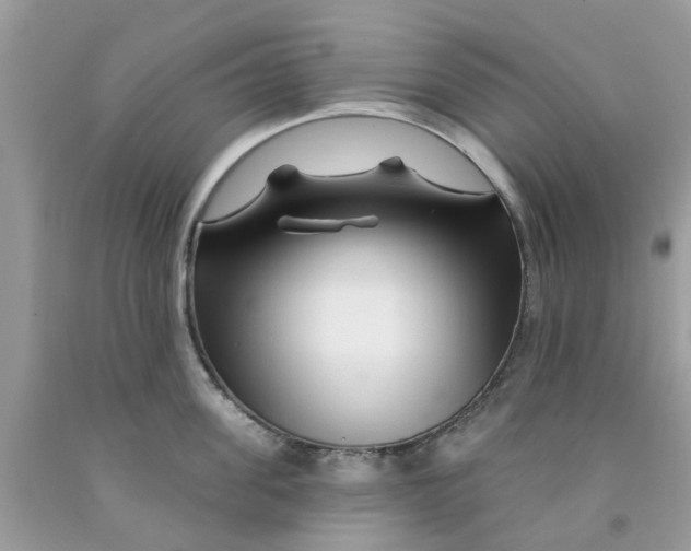 X0000091530955200709141432