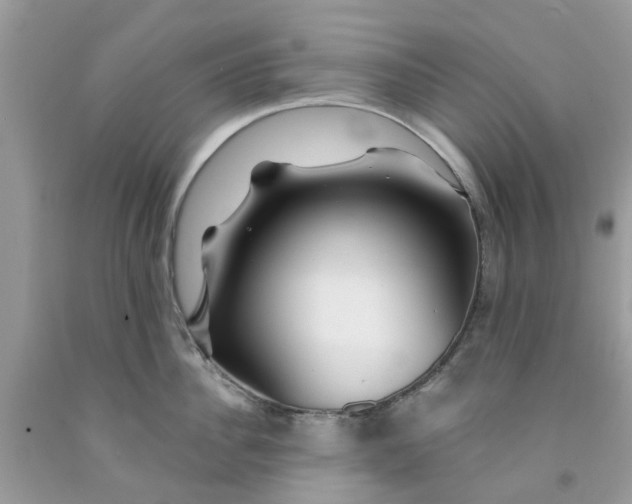 X0000091530956200709141432