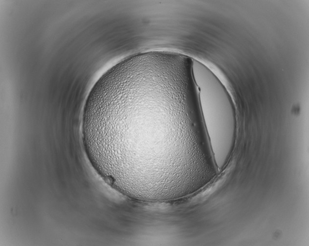 X0000091530957200709141432