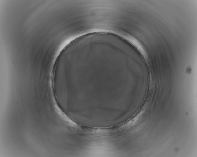 X0000091530958200709141432