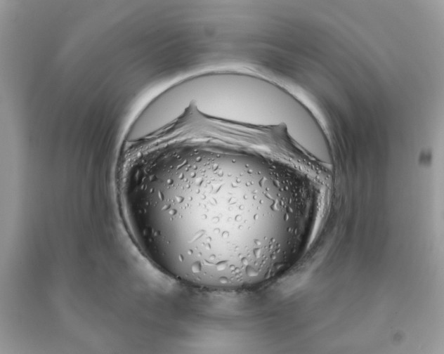 X0000091530959200709141432