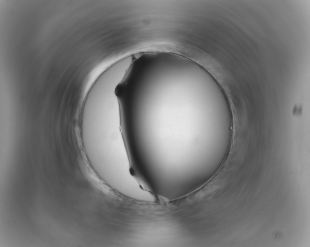X0000091530960200709141432