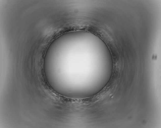 X0000091530961200709141432