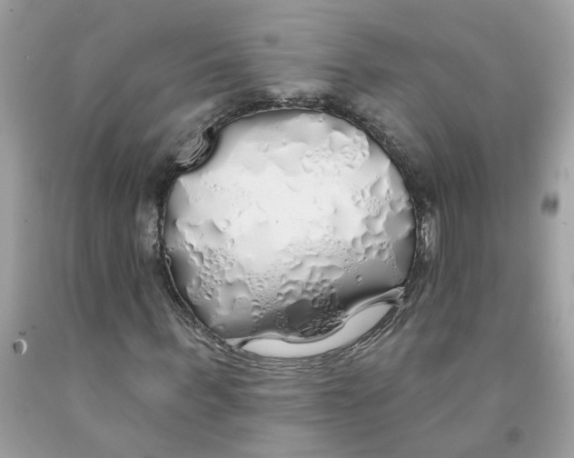 X0000091530963200709141432