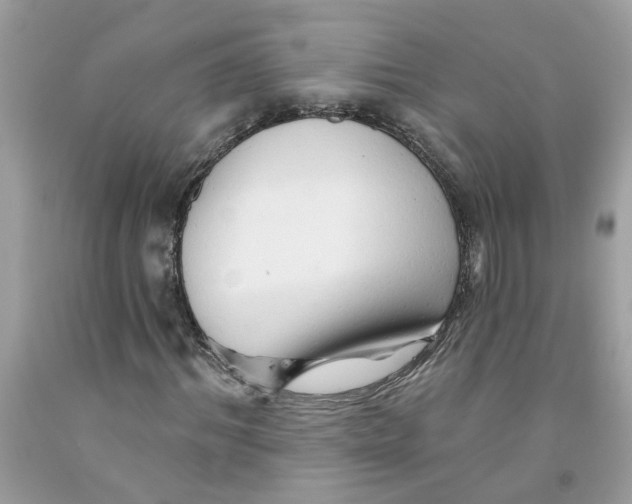 X0000091530964200709141432