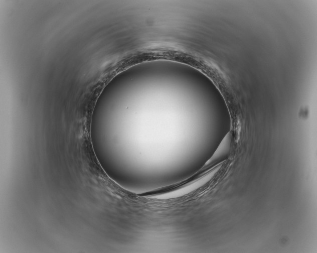 X0000091530965200709141432