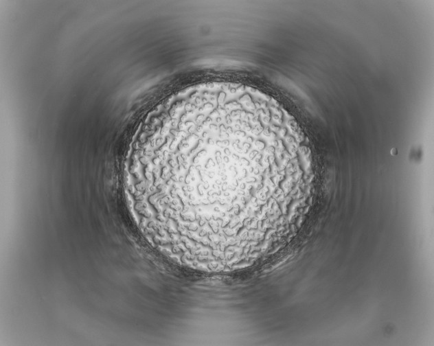 X0000091530966200709141432