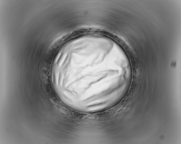 X0000091530967200709141432