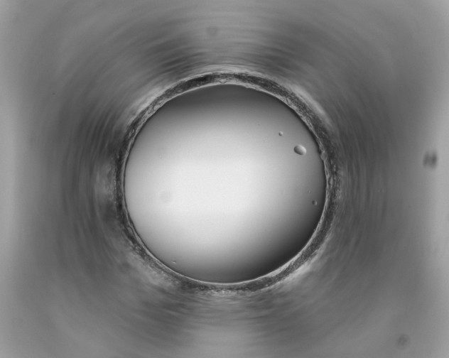 X0000091530969200709141432