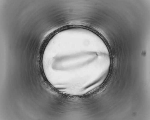 X0000091530971200709141432