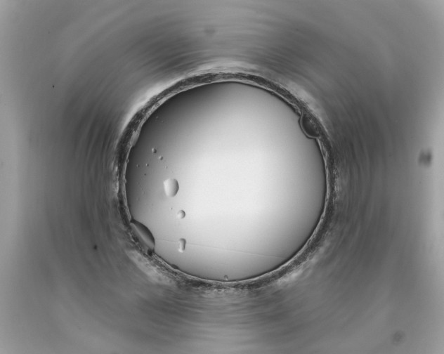 X0000091530973200709141432