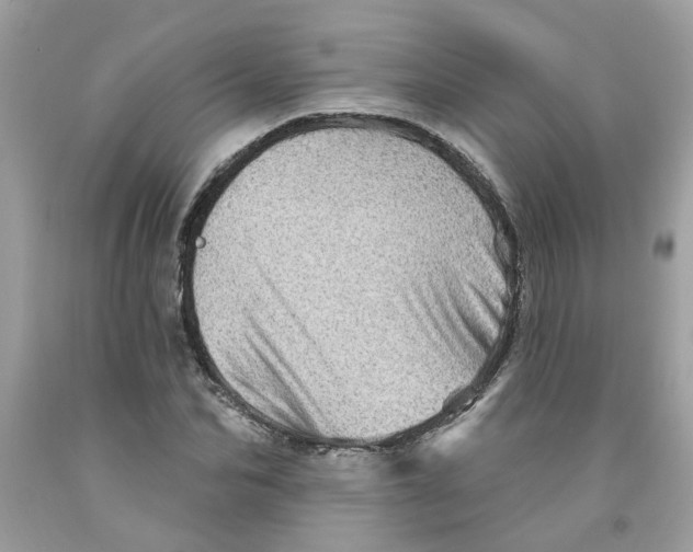 X0000091530974200709141432